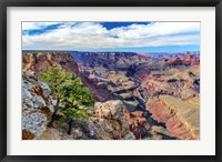 Framed Standing on Navajo Point-Grand Canyon National Park