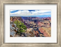 Framed Standing on Navajo Point-Grand Canyon National Park