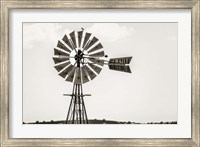Framed Bird on a Windmill