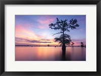 Framed Summer Solstice Sunset