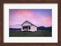 Framed Morning Glory