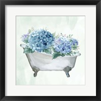 Hydrangea Bath 1 Framed Print