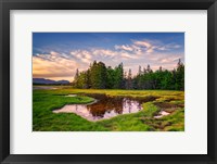 Framed Spring Evening at Bass Harbor Marsh