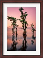Framed Pink Twilight on Lake Maurepas