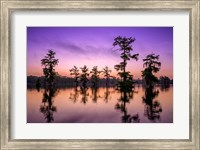 Framed Lake Martin Twilight