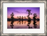 Framed Lake Martin Twilight