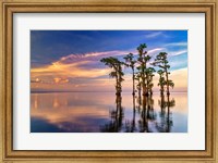 Framed Dusk on Lake Maurepas