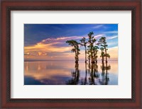 Framed Dusk on Lake Maurepas