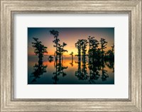 Framed Dawn on Lake Maurepas