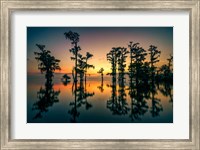 Framed Dawn on Lake Maurepas