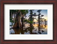 Framed Dawn in the Swamp