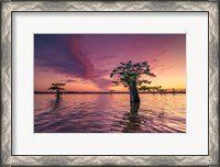 Framed Atchafalaya Sunset