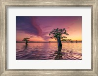 Framed Atchafalaya Sunset