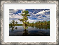 Framed Atchafalaya Afternoon II