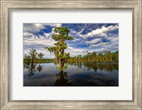 Framed Atchafalaya Afternoon II