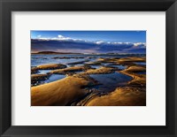 Framed Morning on Popham Beach