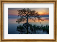 Framed Dusk on Currituck Sound