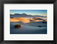 Framed Mesquite Dunes