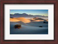 Framed Mesquite Dunes