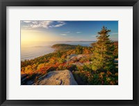 Framed Autumn Morning on Gorham Mountain