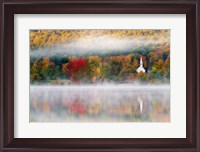 Framed Autumn in New Hampshire