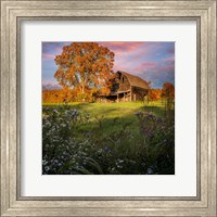 Framed Autumn Sunset by the Barn