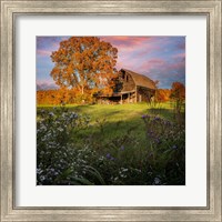 Framed Autumn Sunset by the Barn