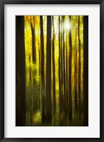Framed Autumn Forest Dream