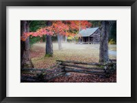 Framed Autumn at Carter Shields Cabin