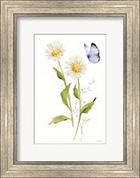 Framed Wild for Wildflowers IV