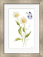 Framed Wild for Wildflowers IV