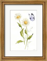 Framed Wild for Wildflowers IV