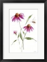 Wild for Wildflowers V Framed Print
