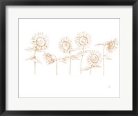Framed Sunshine Seeds III