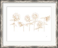 Framed Sunshine Seeds III
