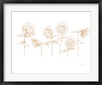 Framed Sunshine Seeds III