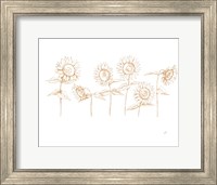 Framed Sunshine Seeds III