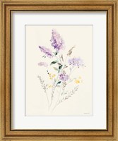 Framed Lilac Season II Pastel