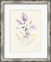 Framed Lilac Season II Pastel