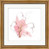 Framed Floral Blossom IV