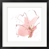 Framed Floral Blossom II