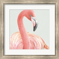 Framed Gracefully Pink II with Green