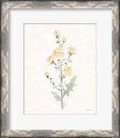 Framed Flowers of the Wild III Pastel