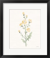 Flowers of the Wild III Pastel Framed Print