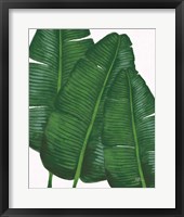 Framed Emerald Banana Leaves II