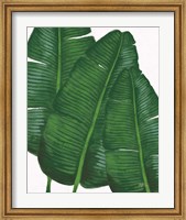 Framed Emerald Banana Leaves II