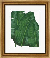 Framed Emerald Banana Leaves II