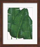 Framed Emerald Banana Leaves II