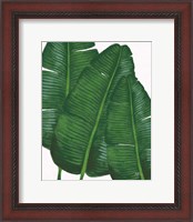 Framed Emerald Banana Leaves II