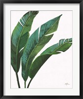 Framed Emerald Banana Leaves I